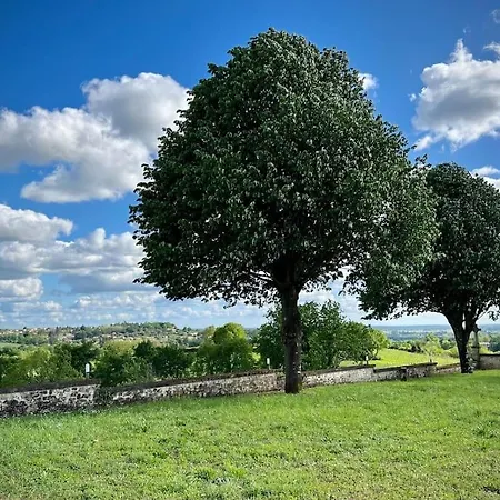 Château 14e Siècle Vue Panoramique Sur Les Vignes Villa