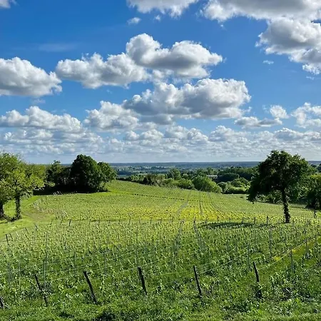 Villa Château 14e Siècle Vue Panoramique Sur Les Vignes Le Tourne